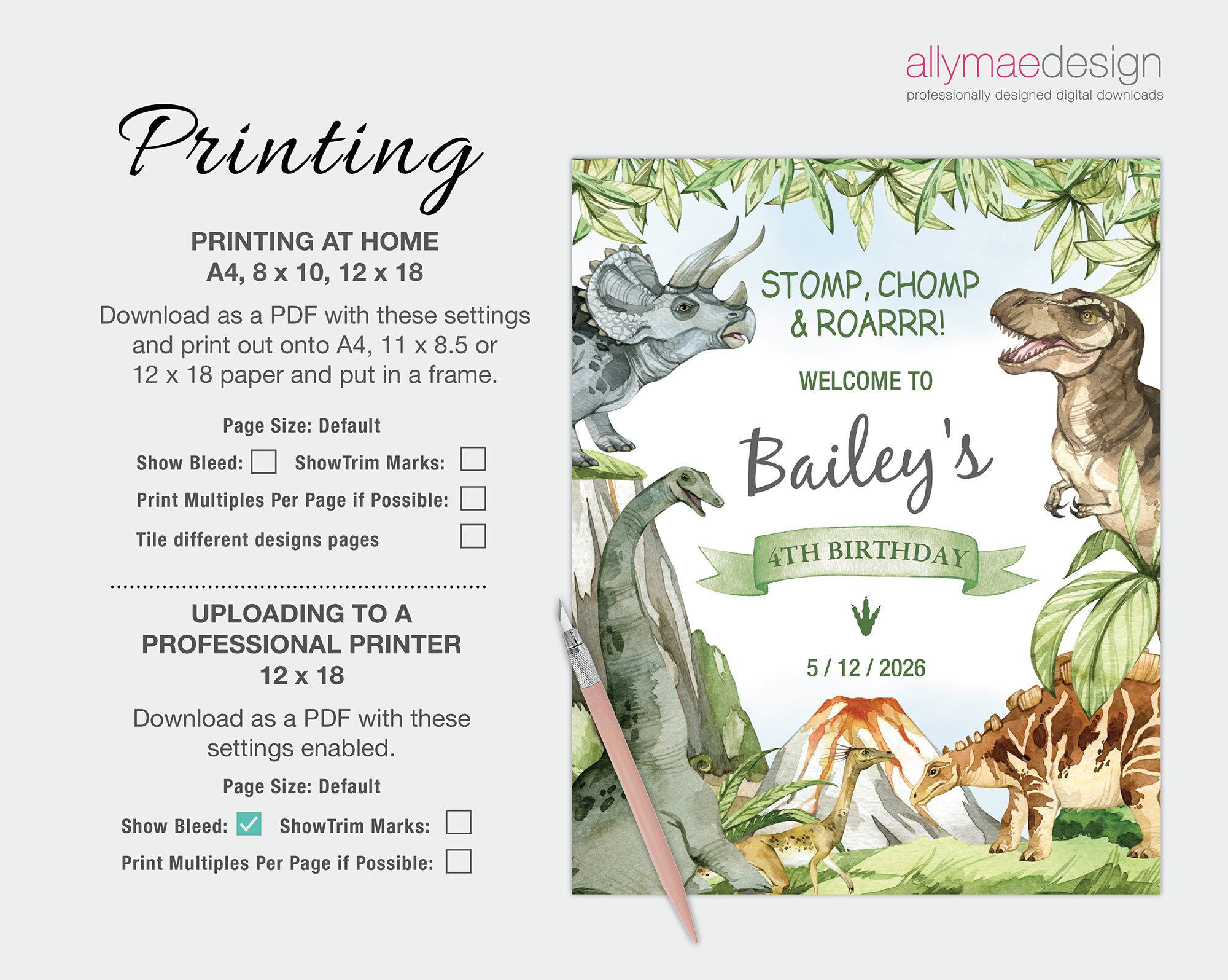printing instructions for the dinosaur party welcome signs