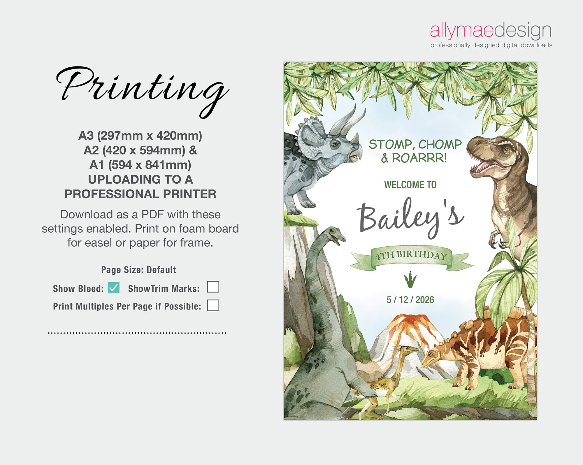printing instructions for the dinosaur party welcome signs