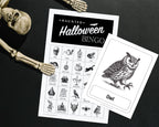 A Halloween bingo game setup on a dark surface, featuring a printed bingo sheet with spooky icons and a separate card showing an owl illustration. A skeleton prop is placed around the items, and the sheet includes the text 'Haunted Halloween Bingo.