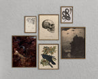 A set of six framed gothic art prints arranged on a textured light gray wall. The collection includes a skull illustration, a black snake, a dark raven on a branch, a gothic landscape with a castle, a botanical print, and a dark raven artwork.
