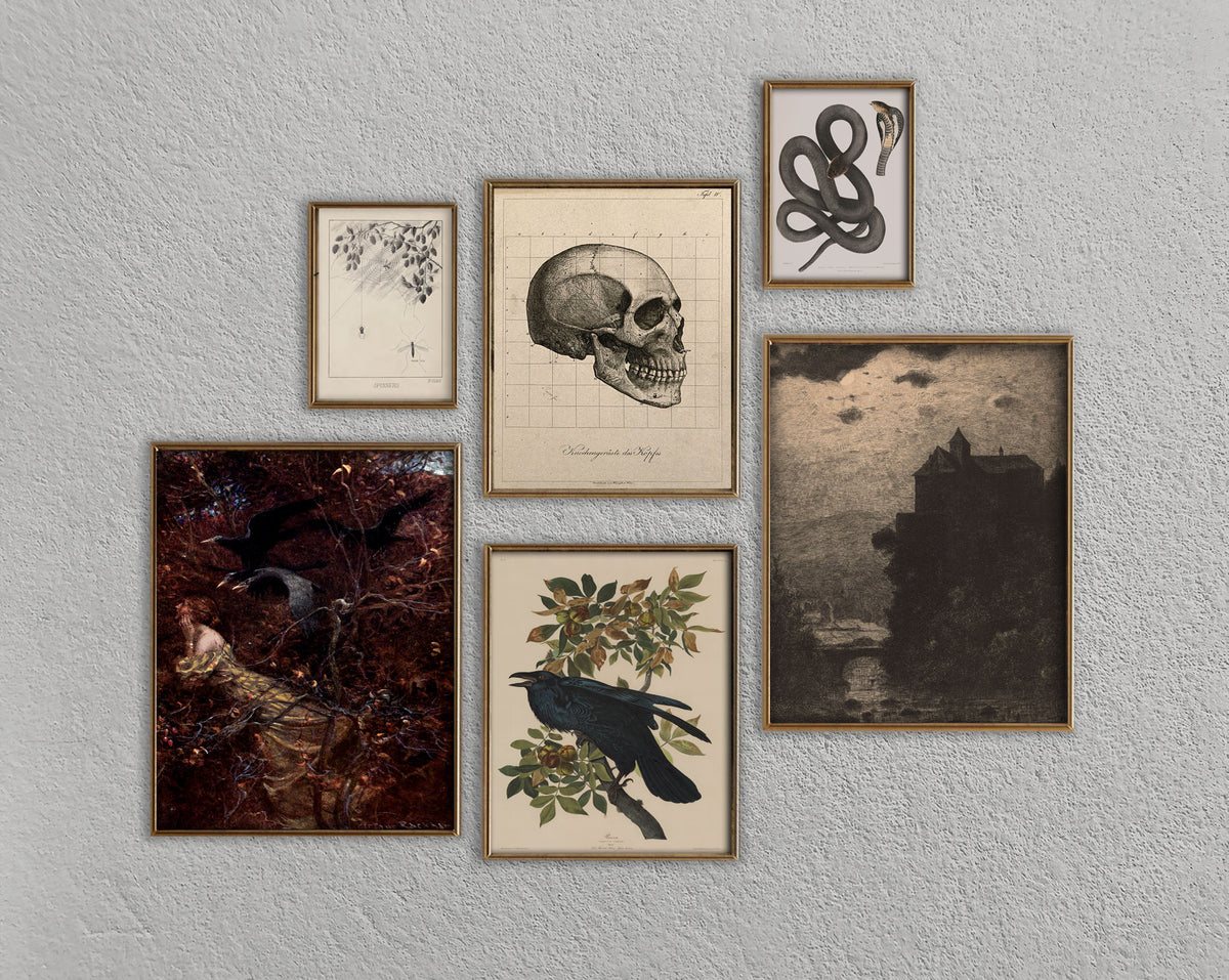 A set of six framed gothic art prints arranged on a textured light gray wall. The collection includes a skull illustration, a black snake, a dark raven on a branch, a gothic landscape with a castle, a botanical print, and a dark raven artwork.