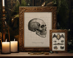 A gothic-style framed art print featuring a vintage anatomical illustration of a human skull, displayed alongside a smaller framed bat specimen illustration on a wooden surface with lit candles and dark foliage in the background.