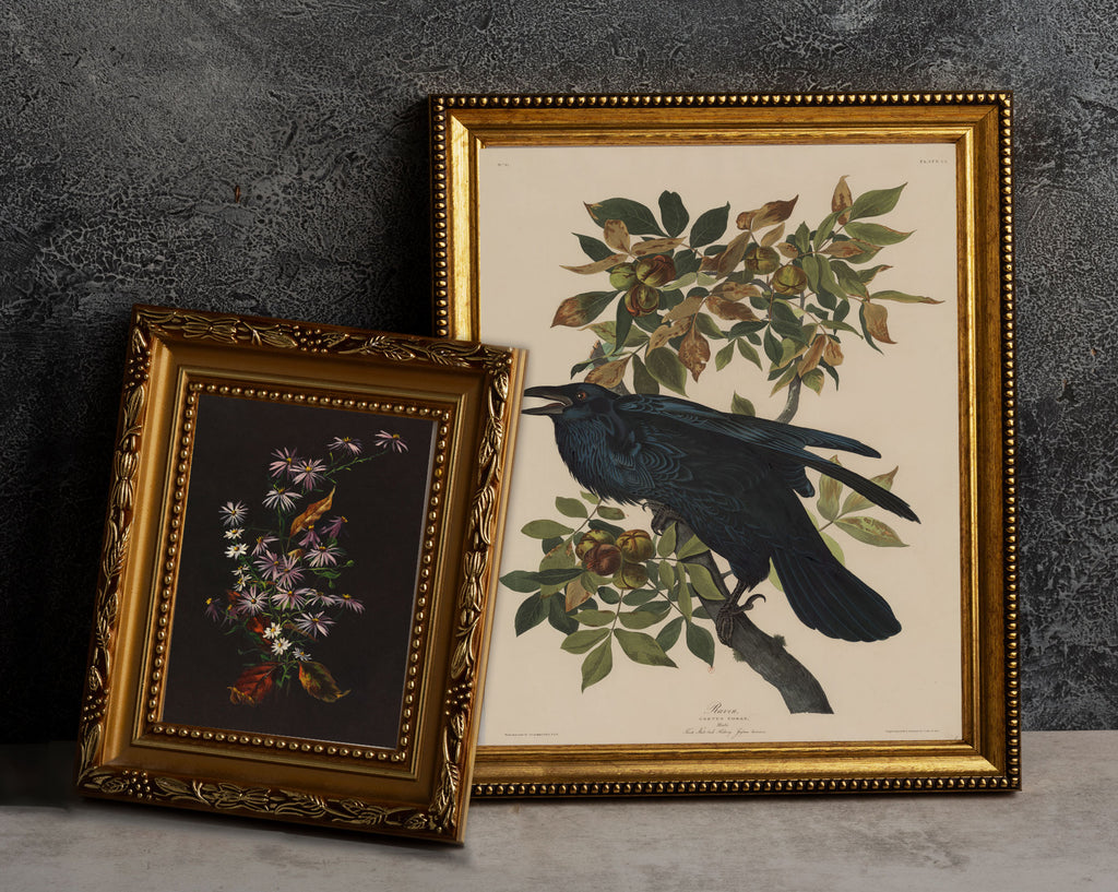 Two ornate framed vintage art prints displayed on a light gray surface against a dark textured gray wall. The larger print features a black bird perched on a leafy branch with cream matting and an ornate gold frame.