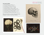 A promotional graphic for a digital download file containing art prints. The left side lists included file types and quantities, while the right side shows sample prints: a beige skull on a grid, a sepia snake with a pink snakehead lure, and a dark floral/bird print.