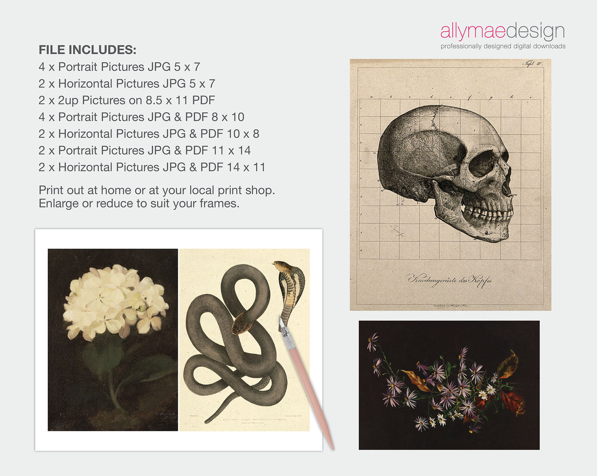A promotional graphic for a digital download file containing art prints. The left side lists included file types and quantities, while the right side shows sample prints: a beige skull on a grid, a sepia snake with a pink snakehead lure, and a dark floral/bird print.