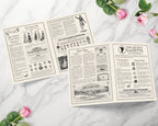 Regency Ton Society Gazette, Fall Autumn, 4 Page Black & White Newspaper, Non-Editable